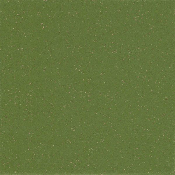 Artichoke SQ5019