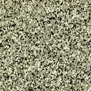 Sleet