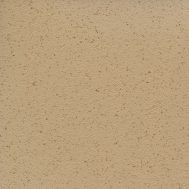 Biscuit SQ5001