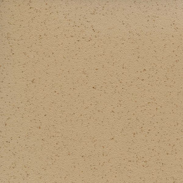 Biscuit SQ5001