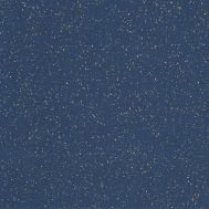 Blueberry SQ5021