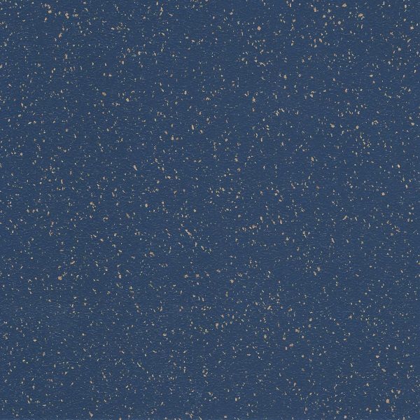 Blueberry SQ5021