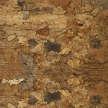 Timber VAIC001